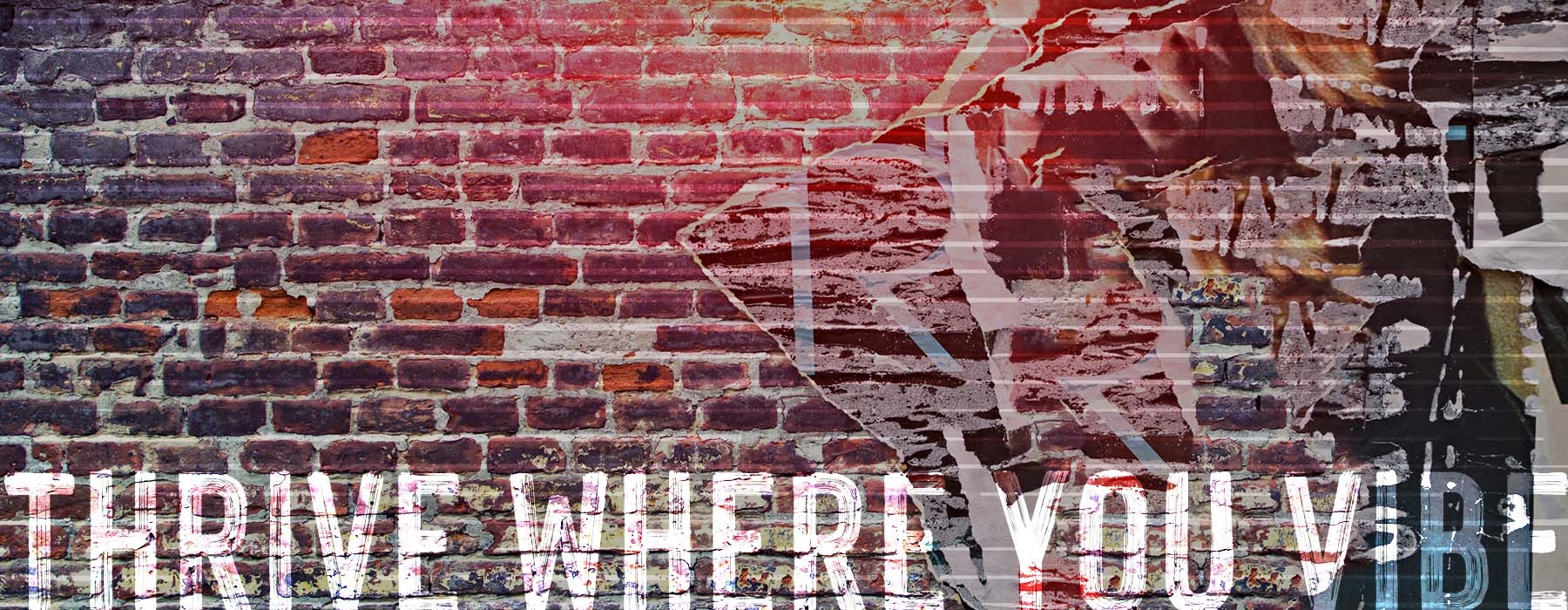 brick wall with art and a text overlay that says thrive where you vibe